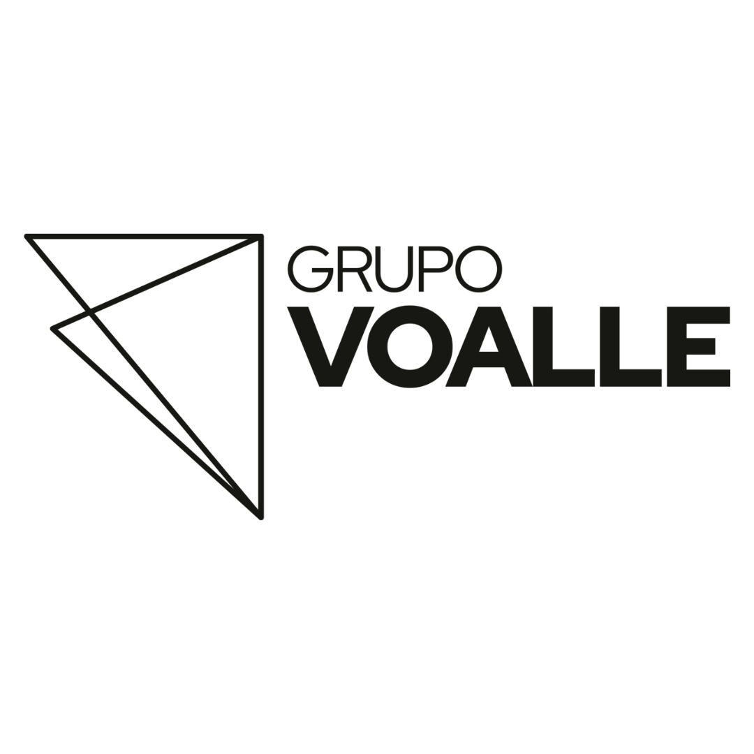 Voalle logo
